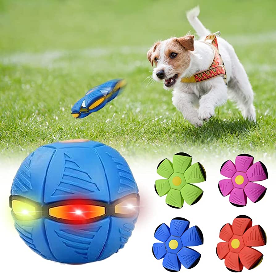Pet Haven™ Dog Frisbee