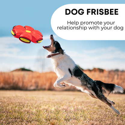 Pet Haven™ Dog Frisbee