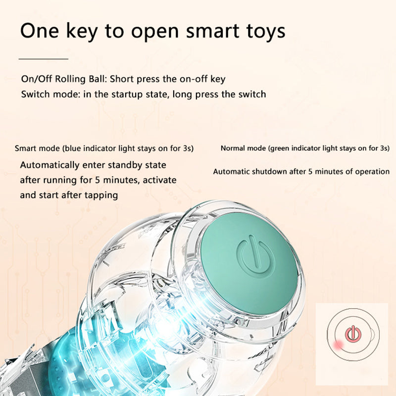 [Pet Haven]  Interactive Ball