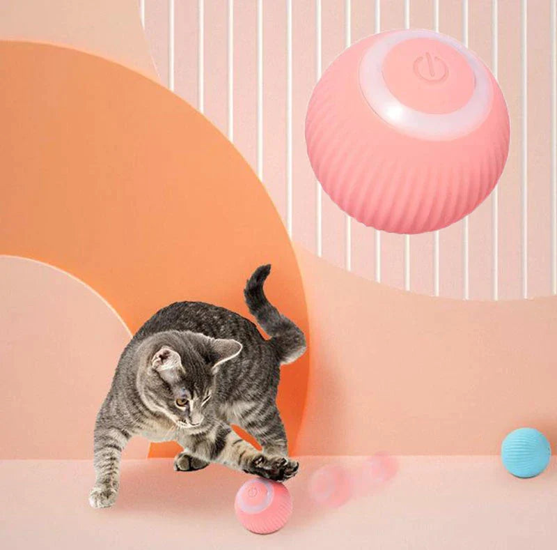 [Pet Haven]  Interactive Ball