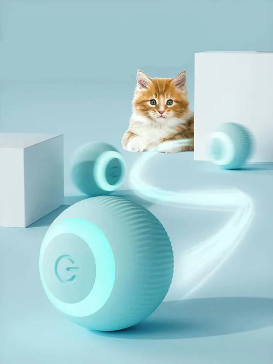 [Pet Haven]  Interactive Ball