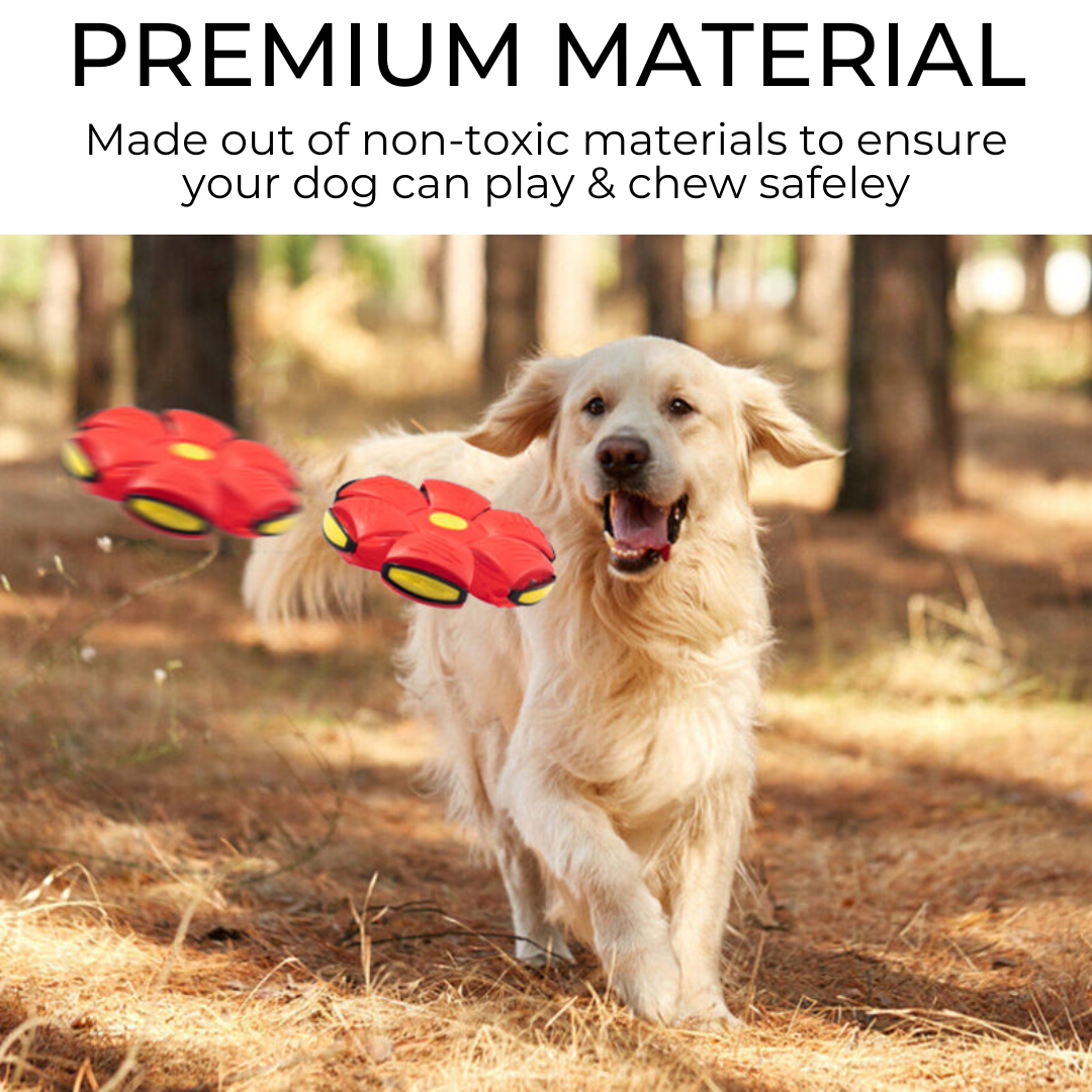 Pet Haven™ Dog Frisbee