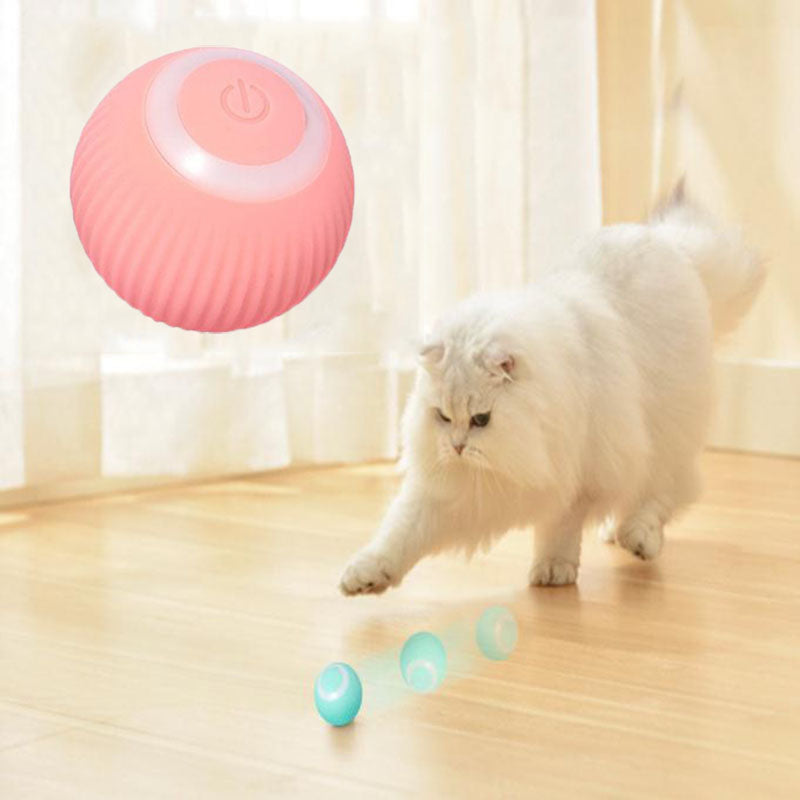 [Pet Haven]  Interactive Ball