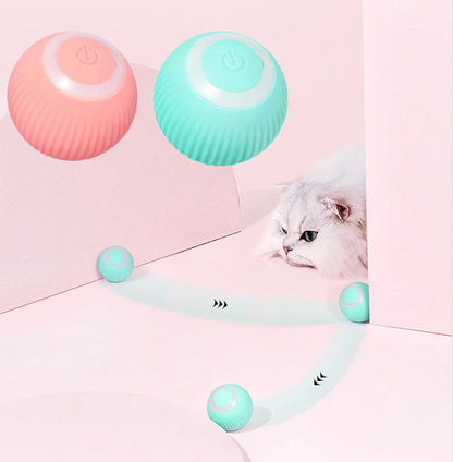 [Pet Haven]  Interactive Ball